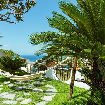 Villa Araucaria Casamicciola Terme Екстериор снимка