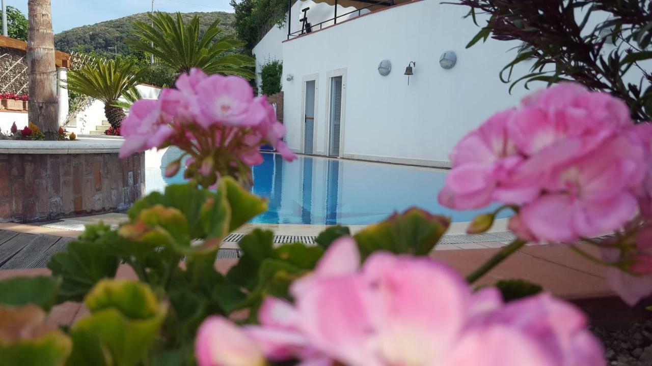 Villa Araucaria Casamicciola Terme Екстериор снимка