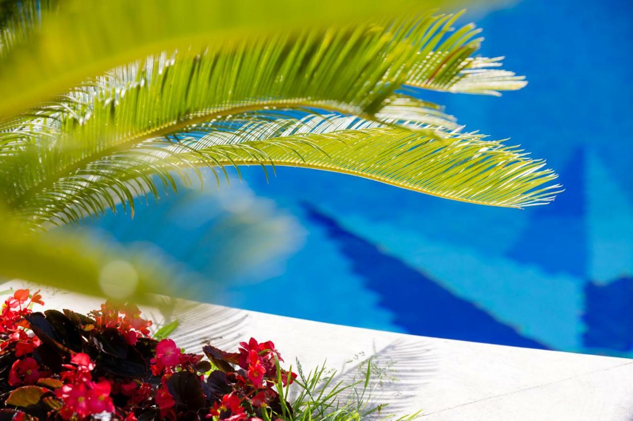 Villa Araucaria Casamicciola Terme Екстериор снимка