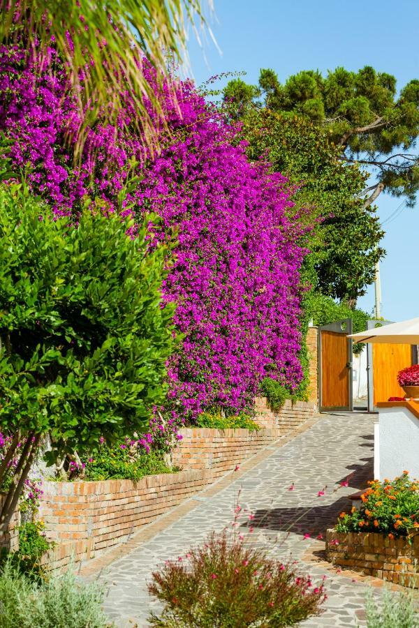 Villa Araucaria Casamicciola Terme Екстериор снимка