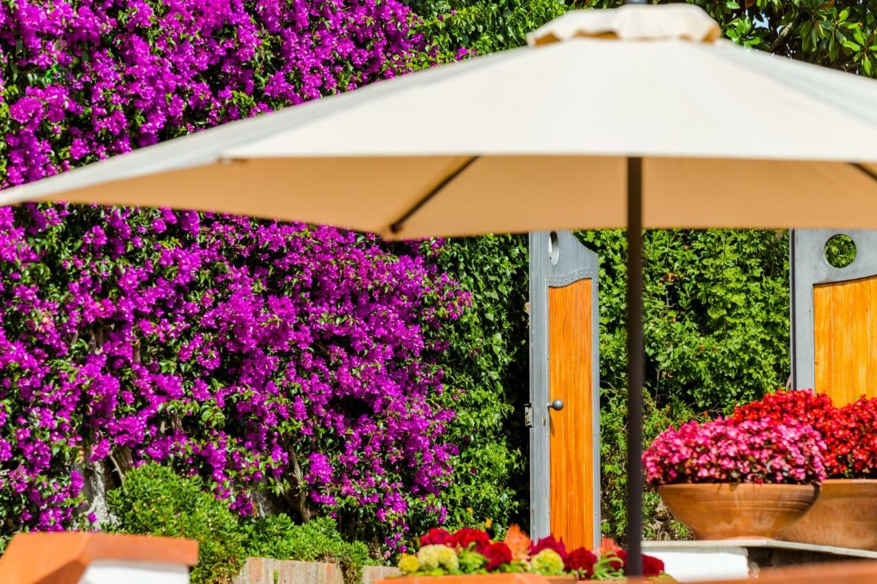 Villa Araucaria Casamicciola Terme Екстериор снимка